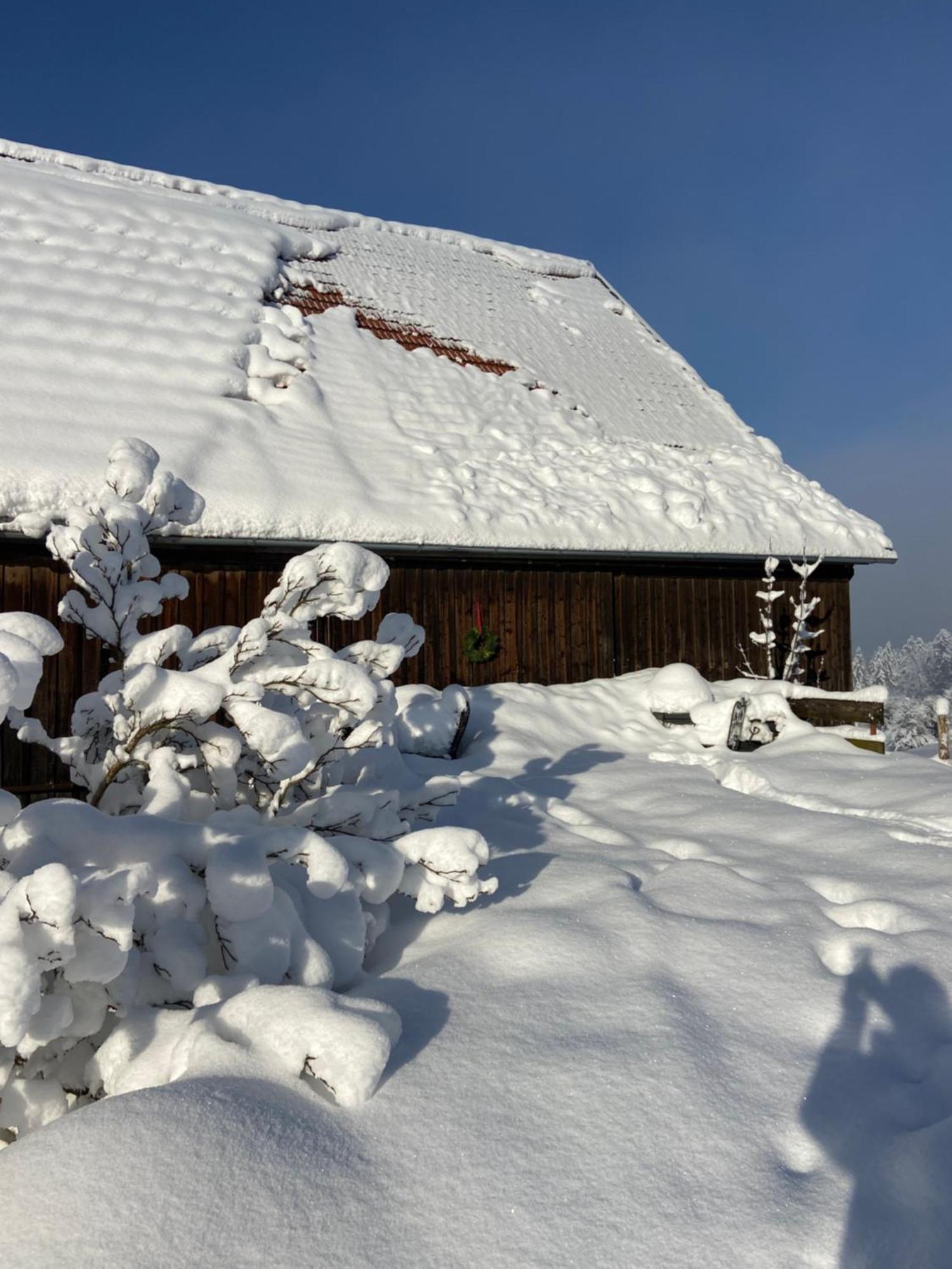 Allgaeu Cottage - Traumhafter Blick In Die Schweizer Berge Weiler-Simmerberg Extérieur photo